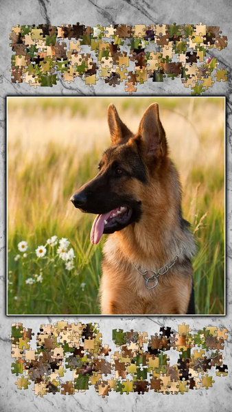 Jigsaw Puzzles Titan - Gameplay image of android game