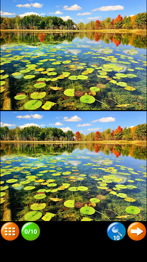 Find Differences ۲۰۰ levels ۲ - عکس بازی موبایلی اندروید