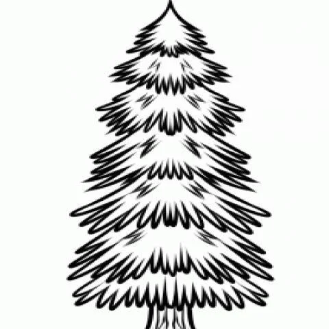 How to draw trees - عکس برنامه موبایلی اندروید