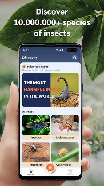 What's that bug? How to identify any plant or animal with your smartphone