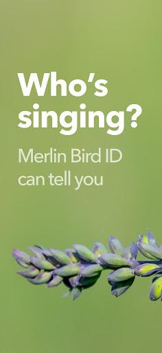 Merlin Bird ID by Cornell Lab - Image screenshot of android app