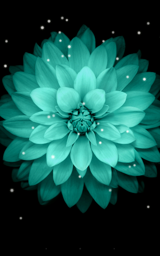 Galaxy Flowers Live Wallpaper - Image screenshot of android app