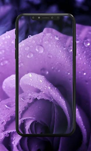 Purple Wallpaper - Image screenshot of android app