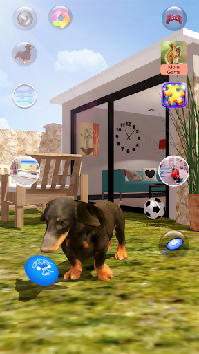 Talking Dogs - عکس بازی موبایلی اندروید