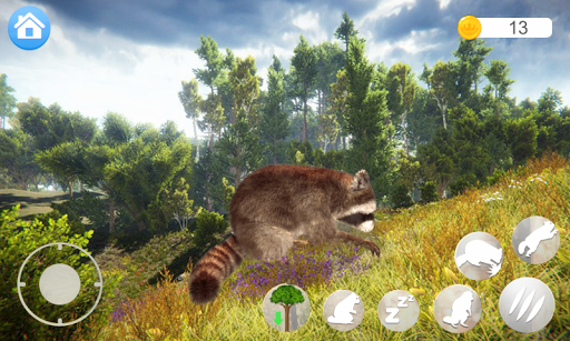 Talking Raccoon - Image screenshot of android app