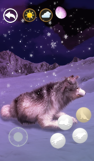 Talking Wolf - عکس برنامه موبایلی اندروید