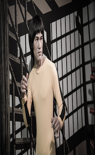 Best Movies For Bruce Lee - عکس برنامه موبایلی اندروید