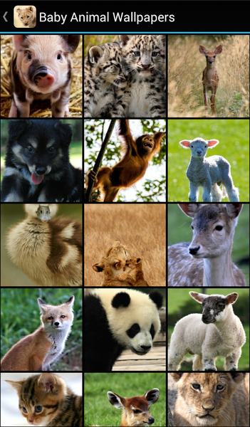 Baby Animal Wallpapers - عکس برنامه موبایلی اندروید
