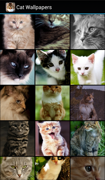 Cat Wallpapers - Image screenshot of android app