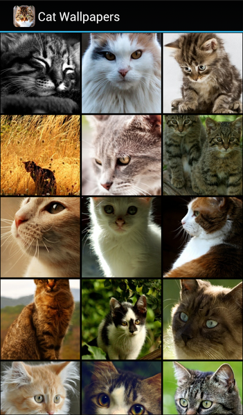 Cat Wallpapers - Image screenshot of android app