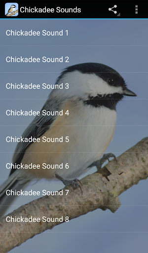 Chickadee Sounds - Image screenshot of android app