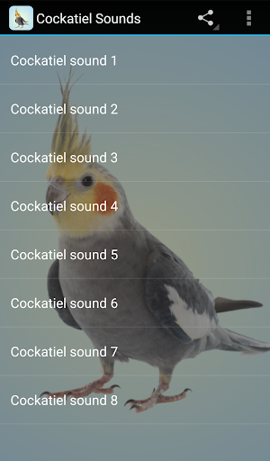 Cockatiel Sounds - عکس برنامه موبایلی اندروید