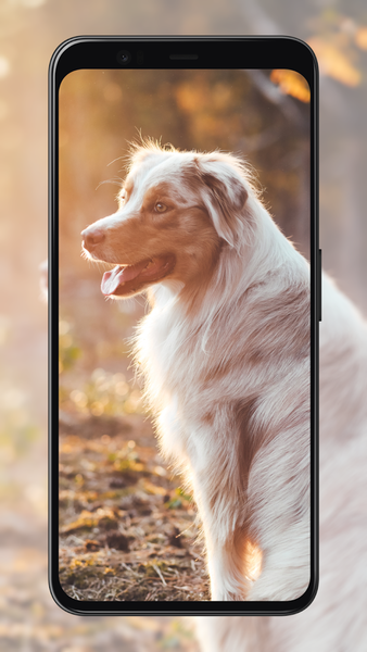 Dog Wallpapers - عکس برنامه موبایلی اندروید