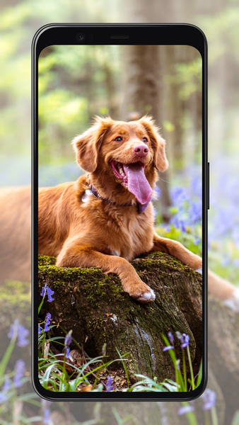 Dog Wallpapers - Image screenshot of android app