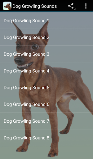 Dog Growling Sounds - عکس برنامه موبایلی اندروید