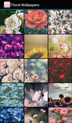 Floral Wallpapers - Image screenshot of android app