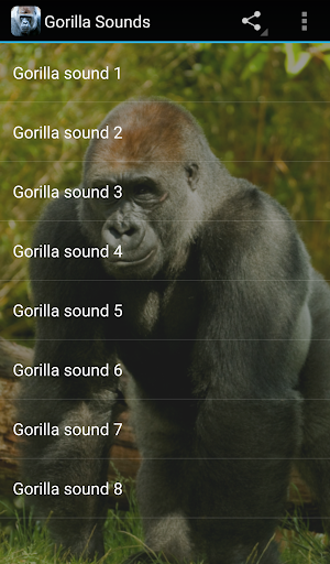 Gorilla Sounds - Image screenshot of android app