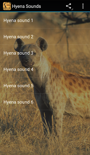 Hyena Sounds - Image screenshot of android app