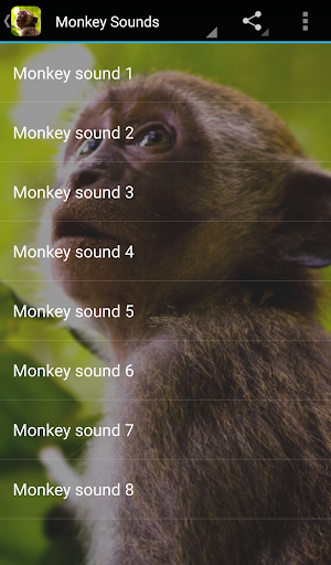 🐒 Monkey Sounds - عکس برنامه موبایلی اندروید