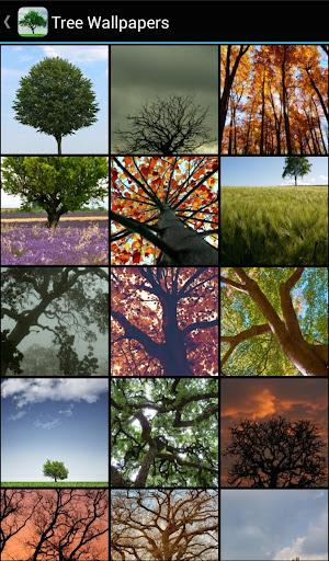 Tree Wallpapers - Image screenshot of android app