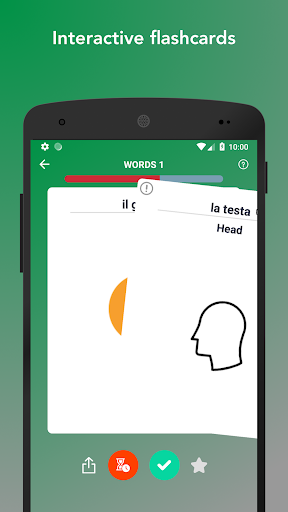 Learn Italian Vocabulary Words - Image screenshot of android app