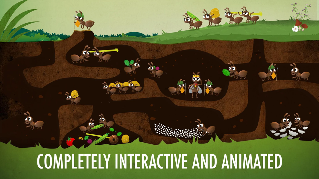 The Bugs I: Insects? - عکس برنامه موبایلی اندروید