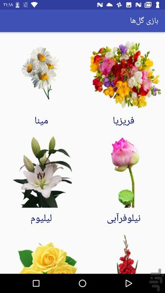 بازی گلها - Gameplay image of android game
