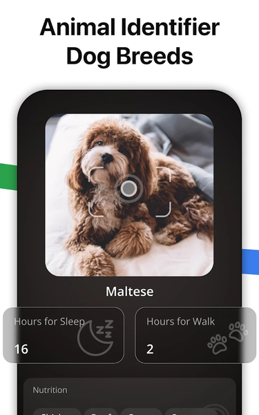 Lens AI: Scanner & Identifier - عکس برنامه موبایلی اندروید