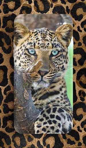 Leopard Wallpaper - عکس برنامه موبایلی اندروید