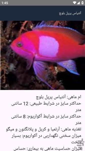 آموزشگاه _ آبزیان آب شور - عکس برنامه موبایلی اندروید