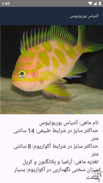 آموزشگاه _ آبزیان آب شور - عکس برنامه موبایلی اندروید