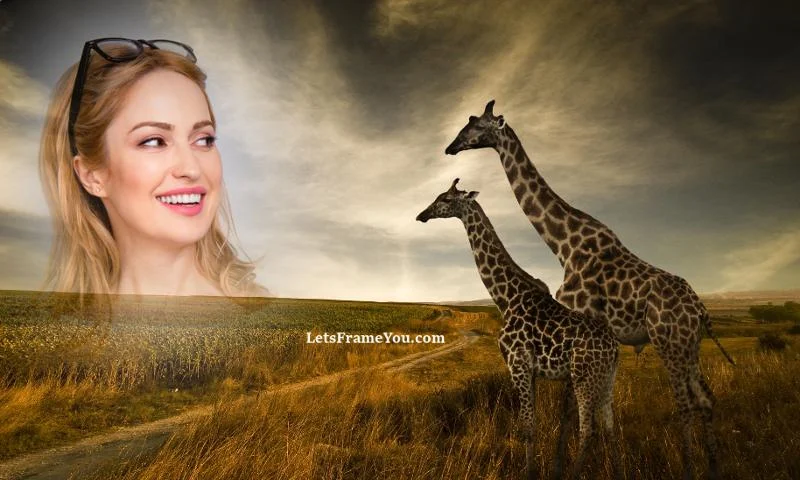 Lets Frame You - Romantic Love - Image screenshot of android app