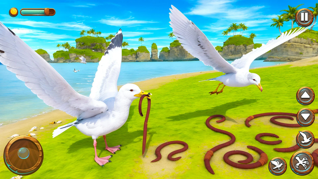 Seagull Bird Life Simulator - عکس بازی موبایلی اندروید