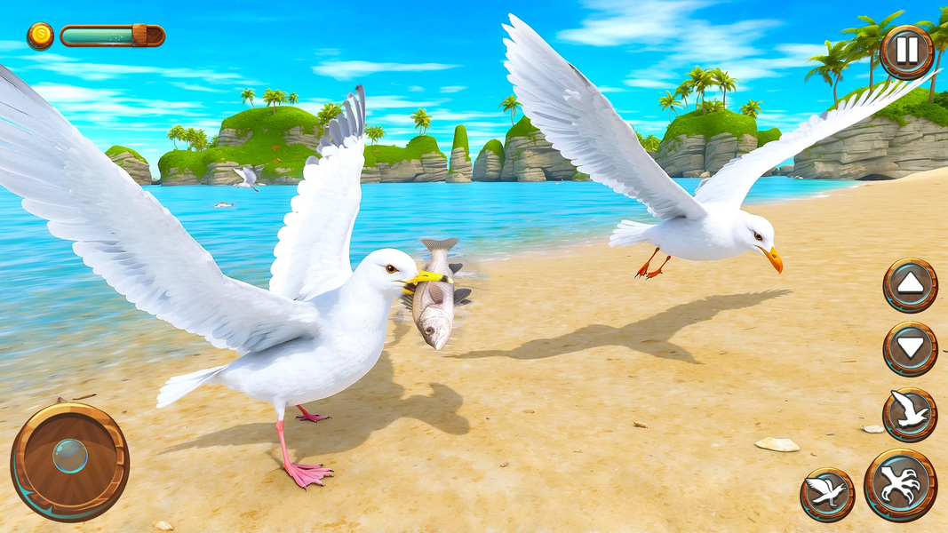 Seagull Bird Life Simulator - عکس بازی موبایلی اندروید