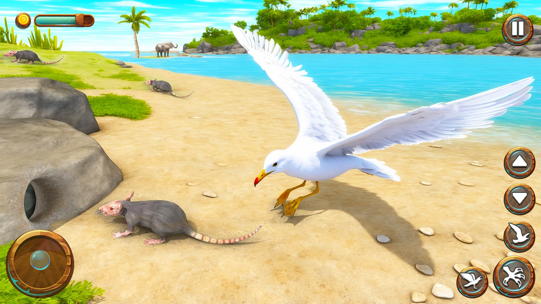 Seagull Bird Life Simulator - عکس بازی موبایلی اندروید