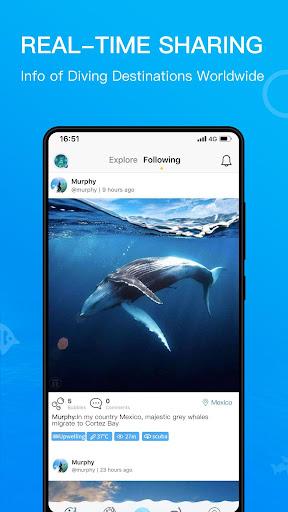 Dive+ : Diving Community - عکس برنامه موبایلی اندروید