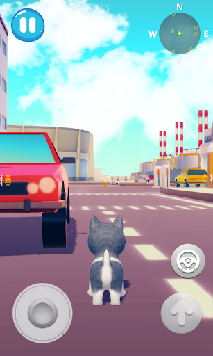 Talking Husky Dog - Gameplay image of android game