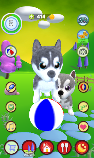 Talking Husky Dog - Gameplay image of android game