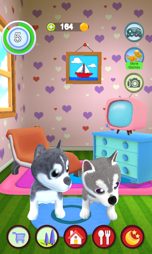 Talking Husky Dog - Gameplay image of android game