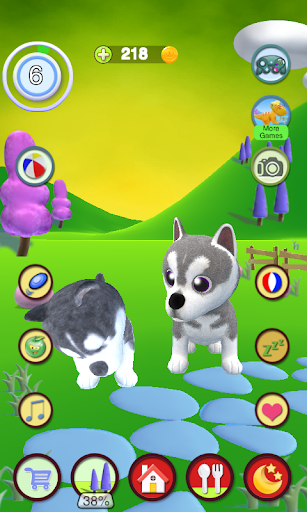 Talking Husky Dog - Gameplay image of android game