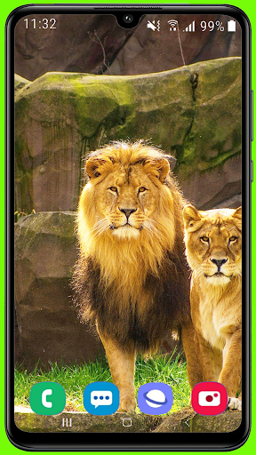 Lion HD Wallpaper - Image screenshot of android app