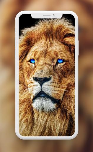 Lion Wallpaper - عکس برنامه موبایلی اندروید