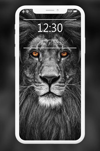 Lion Wallpapers HD - عکس برنامه موبایلی اندروید