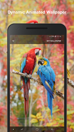 Beauty Birds Live Wallpaper - Image screenshot of android app