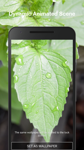 Leaf Live Wallpaper - Image screenshot of android app