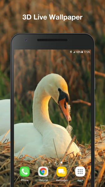 Swans Live Wallpaper - Image screenshot of android app