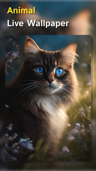 Light Switch Wallpaper - عکس برنامه موبایلی اندروید