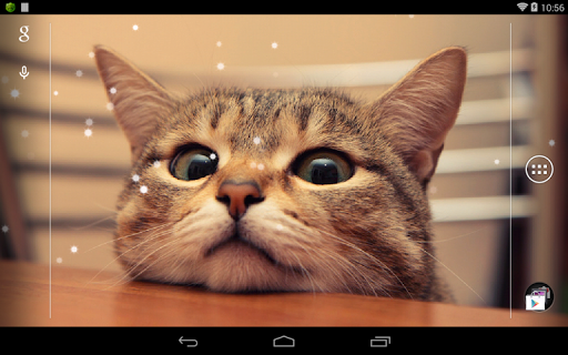 Q Cat Live Wallpaper - Image screenshot of android app