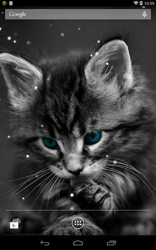 Q Cat Live Wallpaper - Image screenshot of android app