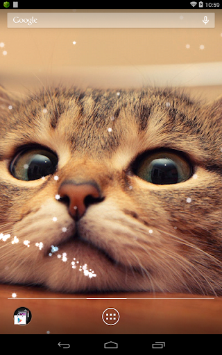 Q Cat Live Wallpaper - Image screenshot of android app